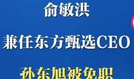 孙东旭内部爆料视频,揭秘幕后的惊人真相